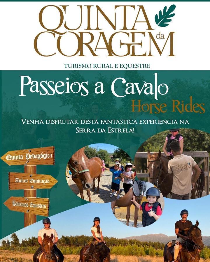 Casa D'Avo Coragem Daire Seia Dış mekan fotoğraf
